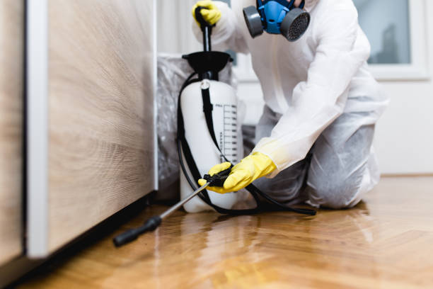 Best Pest Control Treatment  in Olathe, CO