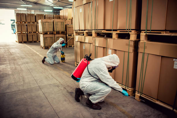 Olathe, CO Pest Control Company