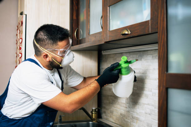 Best Pest Prevention Services  in Olathe, CO