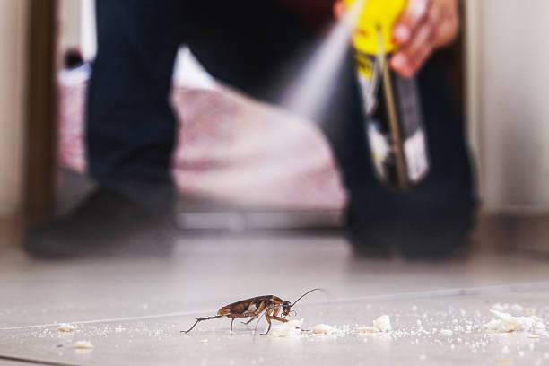 Best Bed Bug Extermination  in Olathe, CO