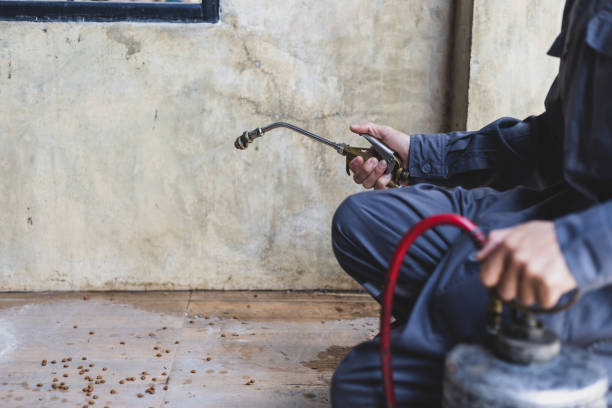 Reliable Olathe, CO Pest Control Solutions